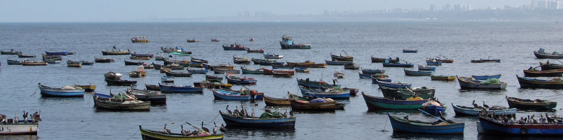 Boats are safe at the harbour but not meant for it