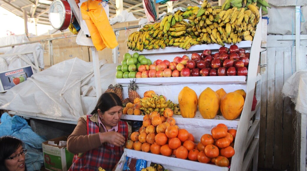 Great market with the freshest fruits!