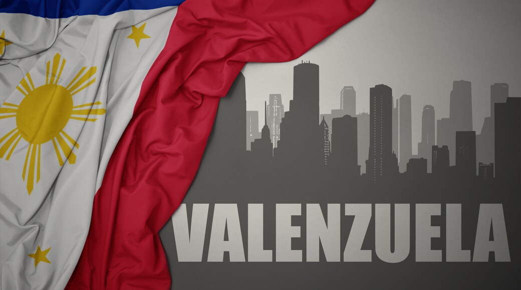 abstract silhouette of the city with text Valenzuela near waving national flag of philippines on a gray background.3D illustration