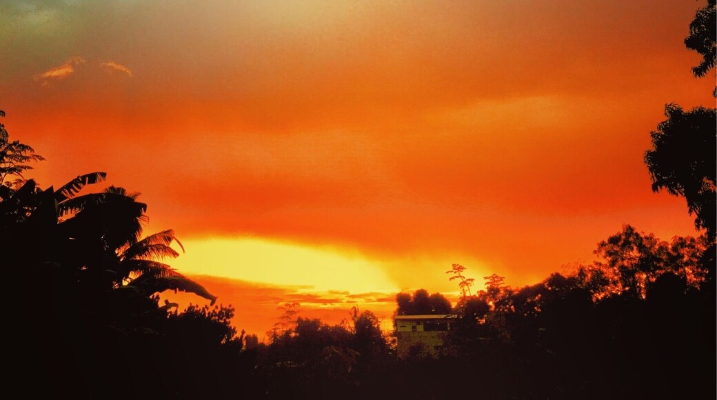 A view at our backyard today.