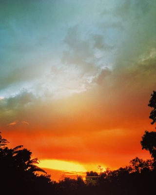 A view at our backyard today.