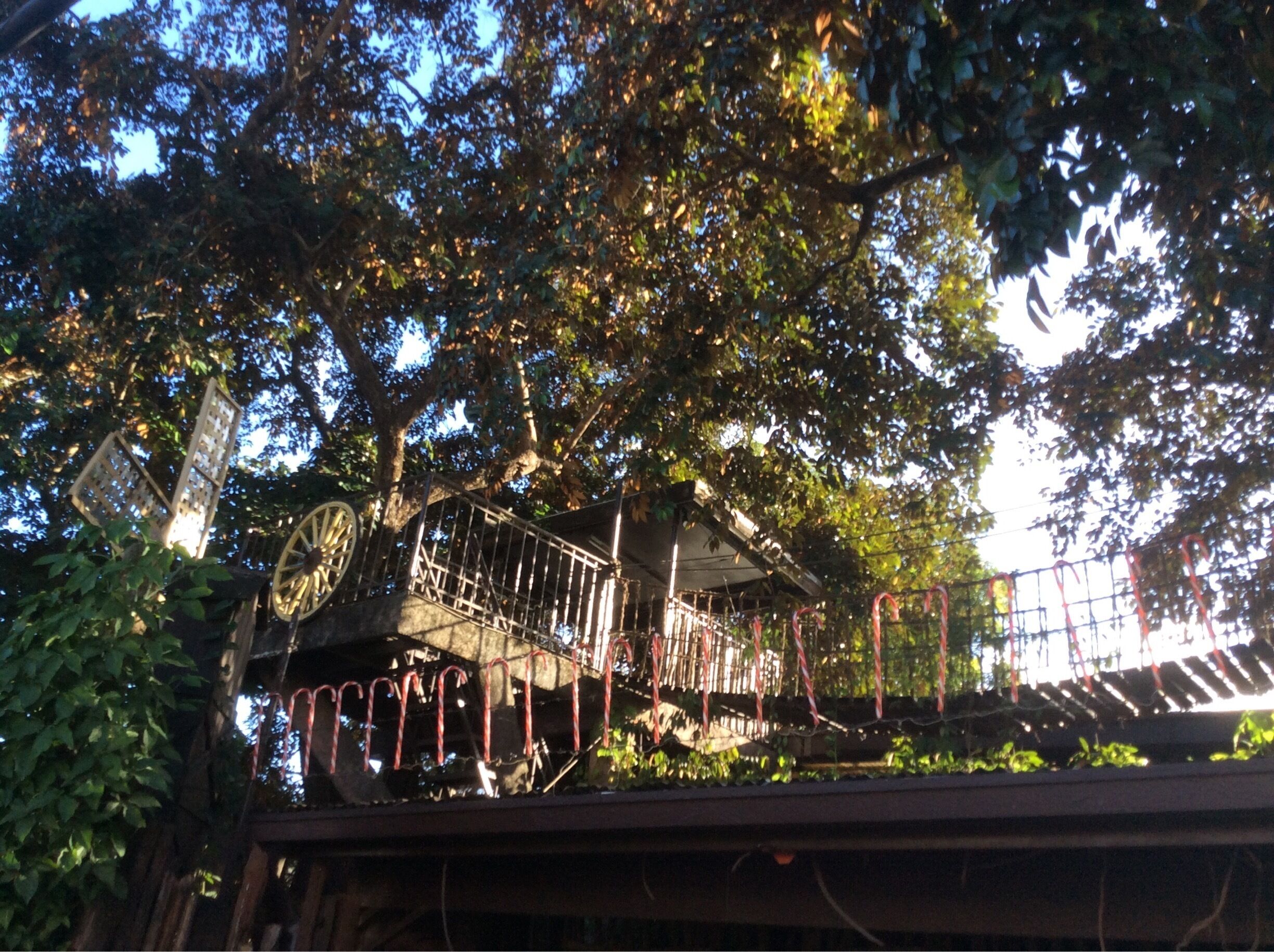 Hanging bridge at the resto