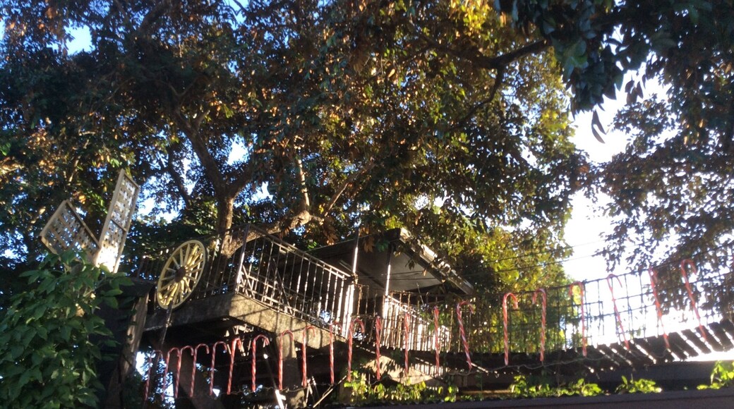 Hanging bridge at the resto