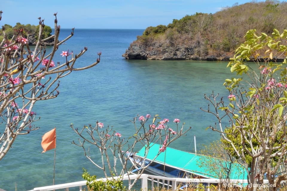 A coastal landscape with clear blue water, rocky cliffs, and flowering trees.