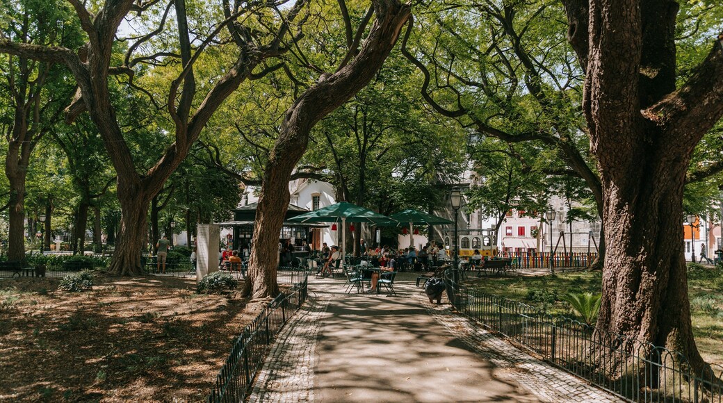 Rato featuring a park