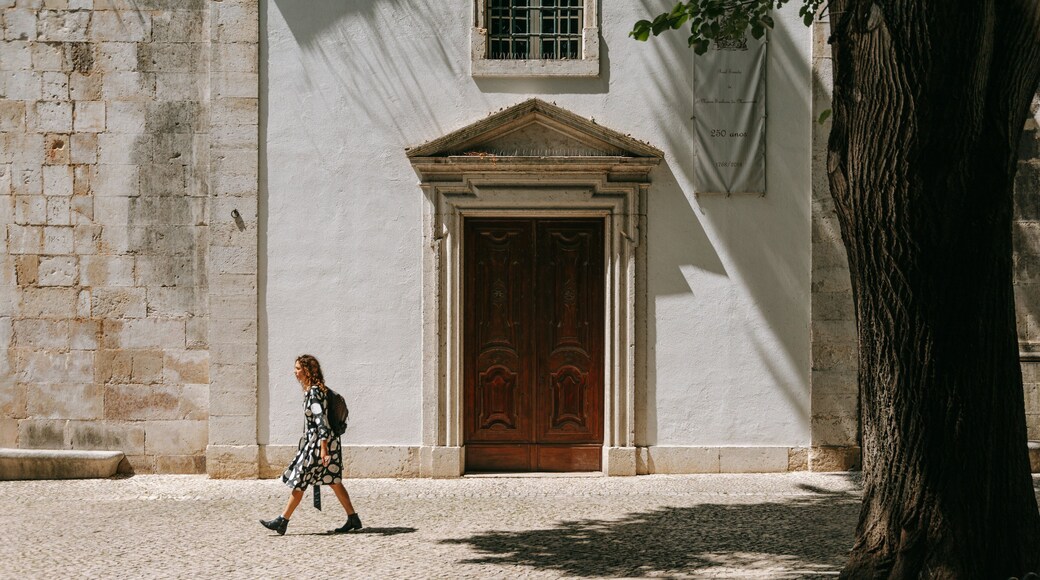 Rato showing heritage elements and street scenes as well as an individual femail