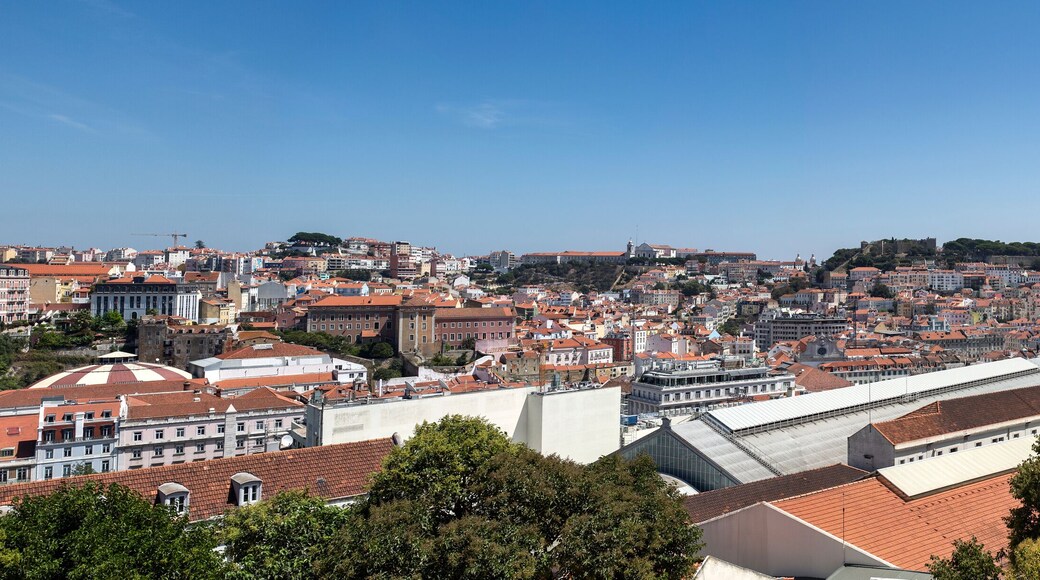 Lisbon seen from Sao Pedro de Alcantara Lookout
