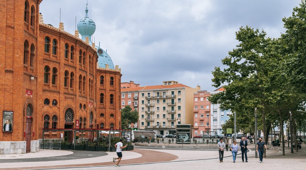 Entrecampos showing street scenes, heritage architecture and a city