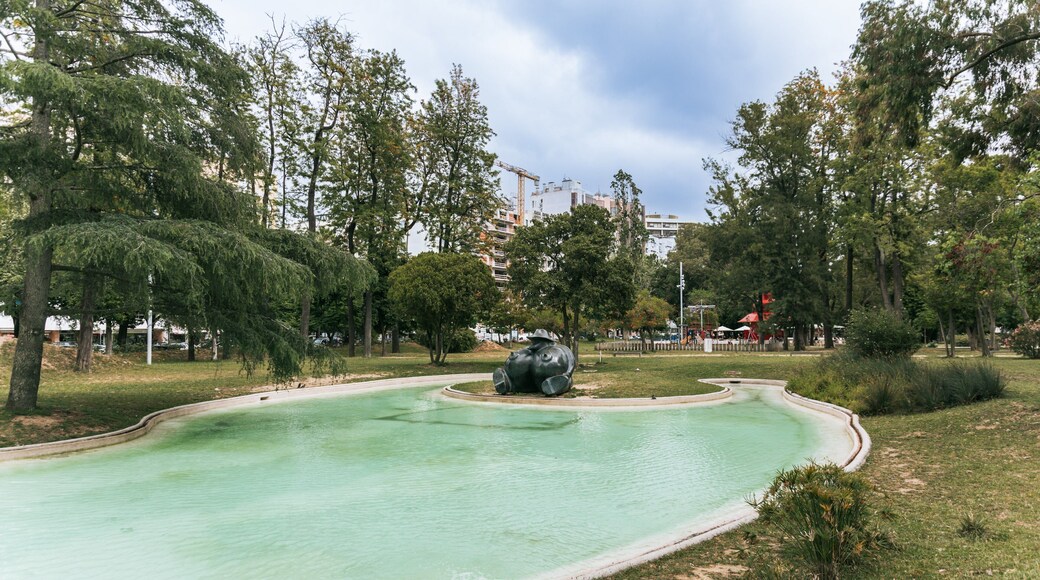 Campo Grande showing a park and a pond