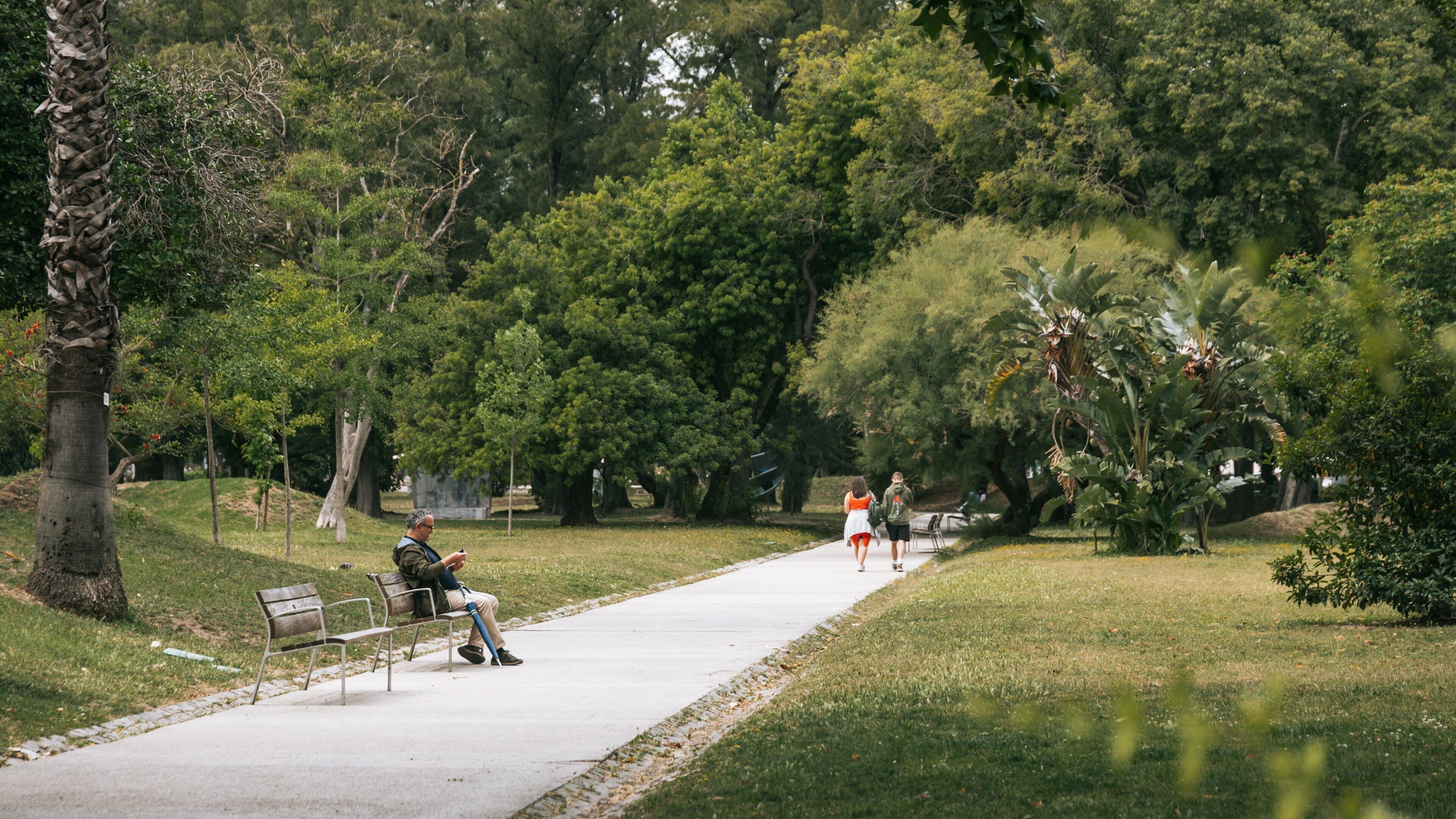 Campo Grande showing a garden as well as an individual male
