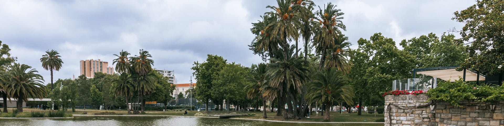 Campo Grande featuring a pond