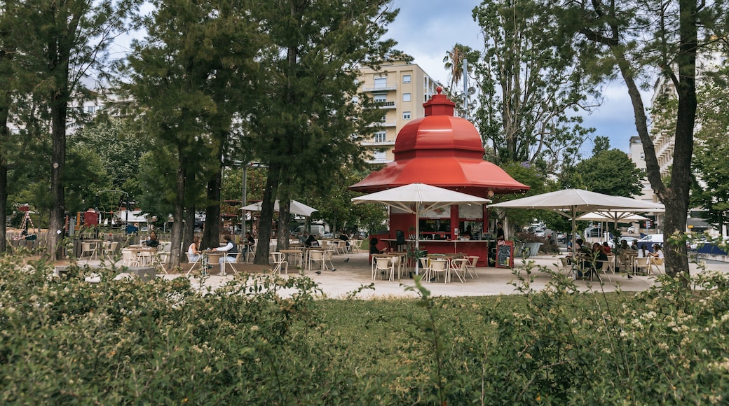 Campo Grande featuring a park