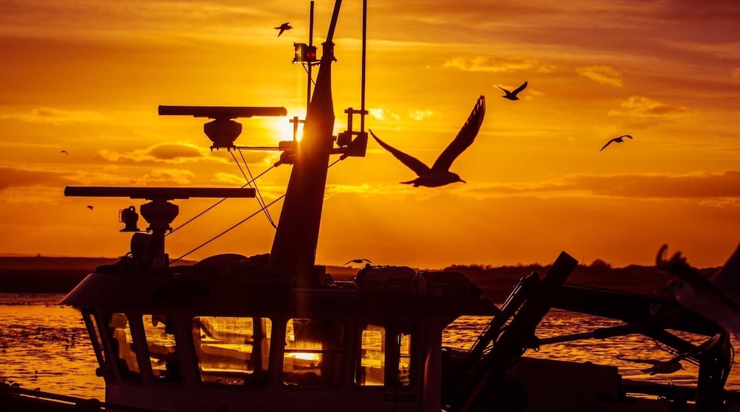 Old Leigh by the Peterboat. Take your camera there’s plenty of birds and good scenery