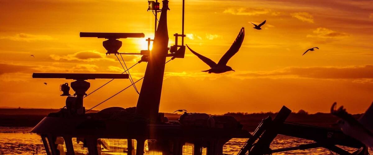Old Leigh by the Peterboat. Take your camera there’s plenty of birds and good scenery