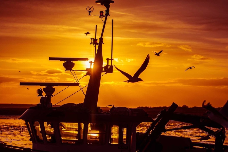 Old Leigh by the Peterboat. Take your camera there’s plenty of birds and good scenery