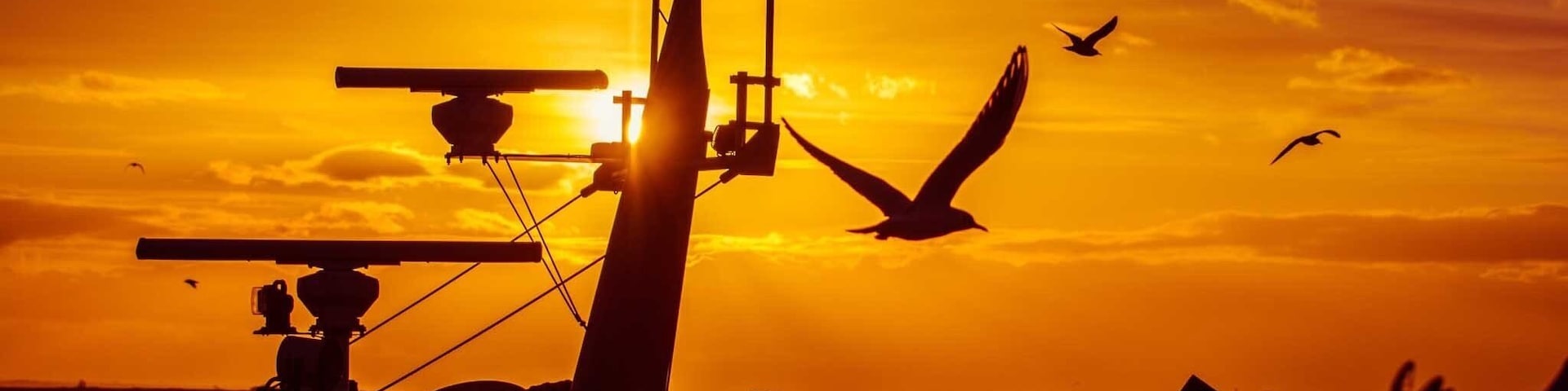 Old Leigh by the Peterboat. Take your camera there’s plenty of birds and good scenery