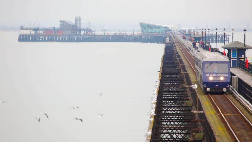 A train labeled "Sir John Betjeman" on a foggy pier with seagulls flying.