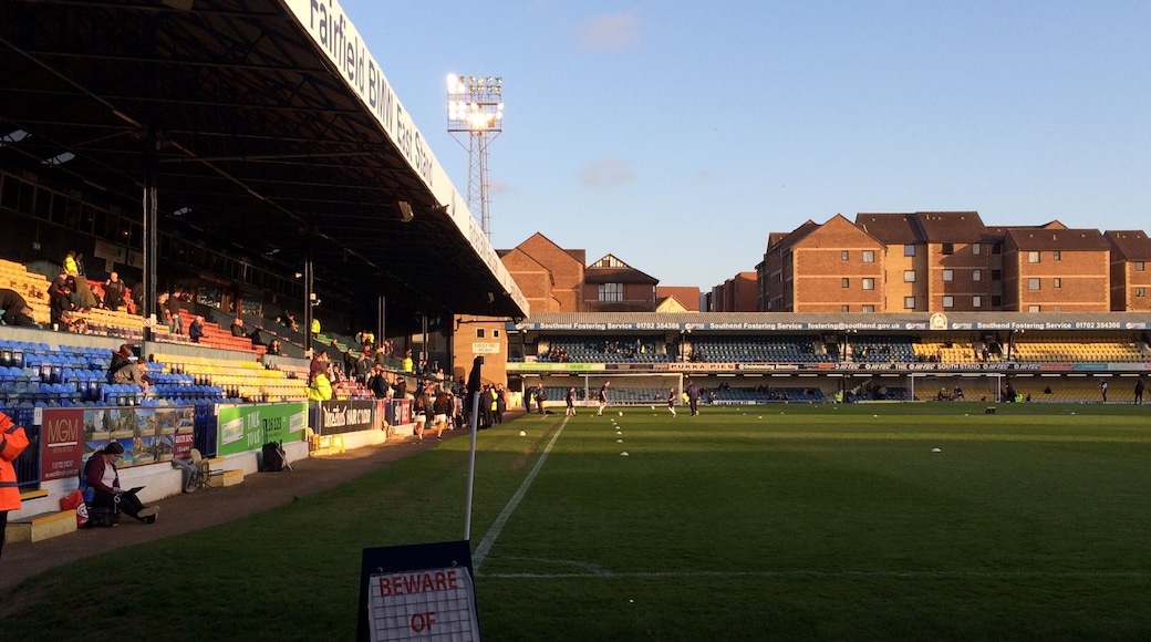 Roots Hall in the early evening sunshine