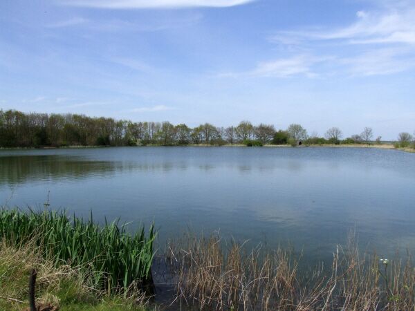 Fishing lake Sutton in Shopland