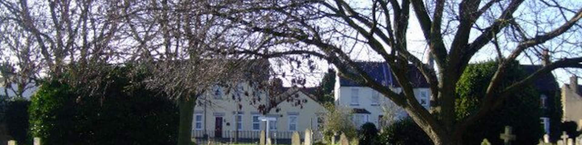 A cemetery with headstones and a large tree in the foreground.
