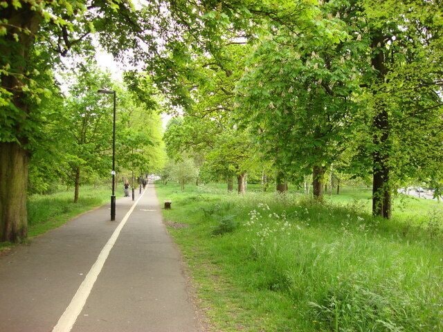 Cycle lane and path, Tooting Graveney Common. This path follows the route of a former road, the only sign of this that can be seen today is the location of the trees which once lined the road.