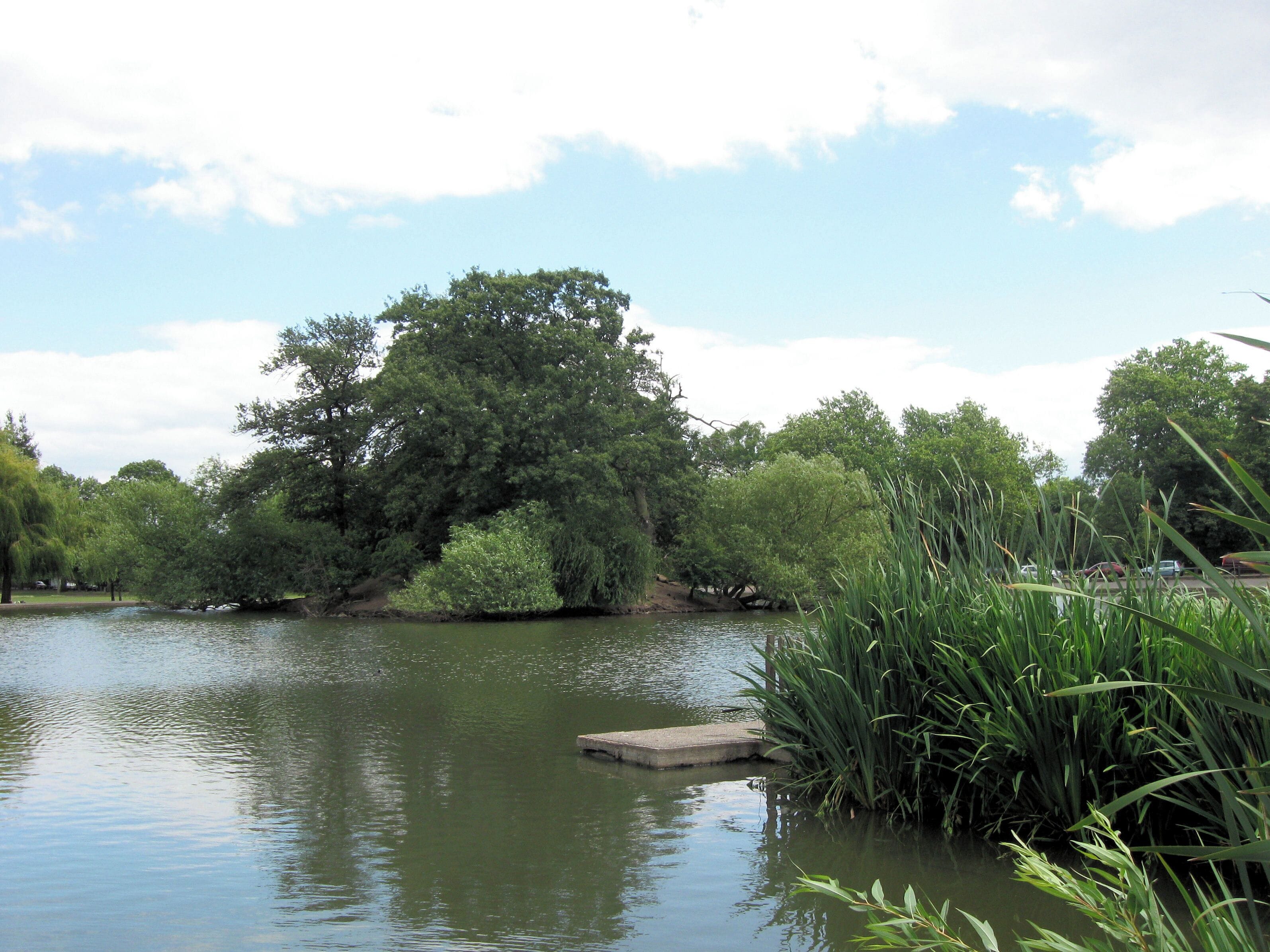 The Fishing Pier and Island, Mount Pond, Clapham Common