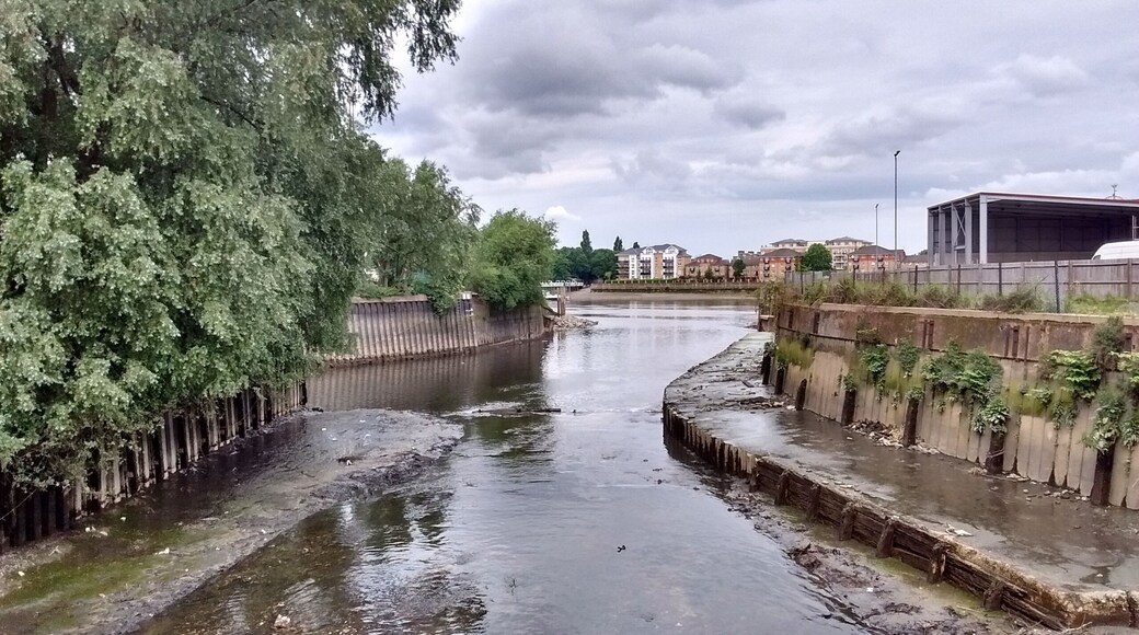 This view shows the delta shortly after the removal of a half weir structure that had broken and which was giving rise to excessive siltation of the river Wandle