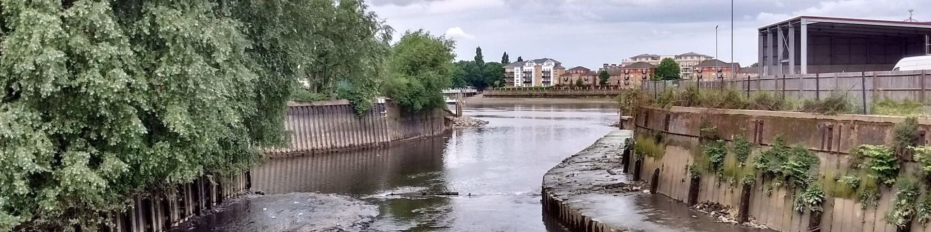 This view shows the delta shortly after the removal of a half weir structure that had broken and which was giving rise to excessive siltation of the river Wandle