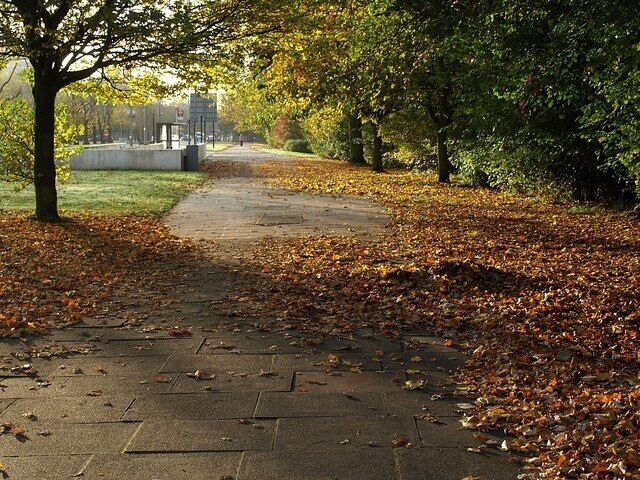Leaves along Trinity Road Drifts of autumn leaves build up on the pavement alongside Trinity Road as it crosses Wandsworth Common.