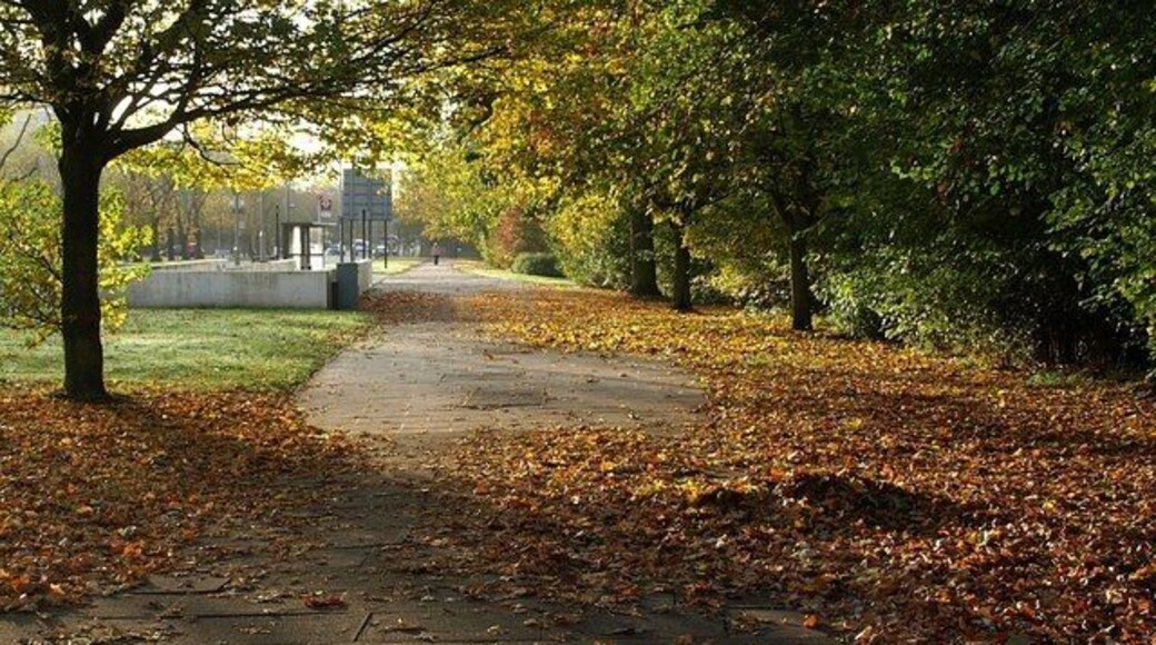 Leaves along Trinity Road Drifts of autumn leaves build up on the pavement alongside Trinity Road as it crosses Wandsworth Common.