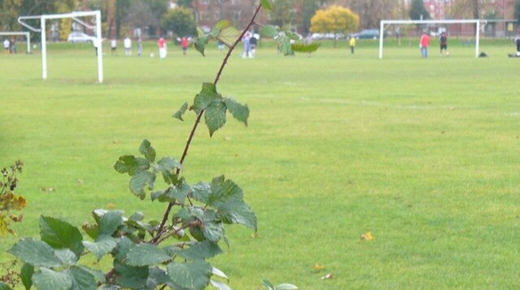 Tooting Graveney Common Popular open space for recreation which is surrounded by densely populated residential streets.