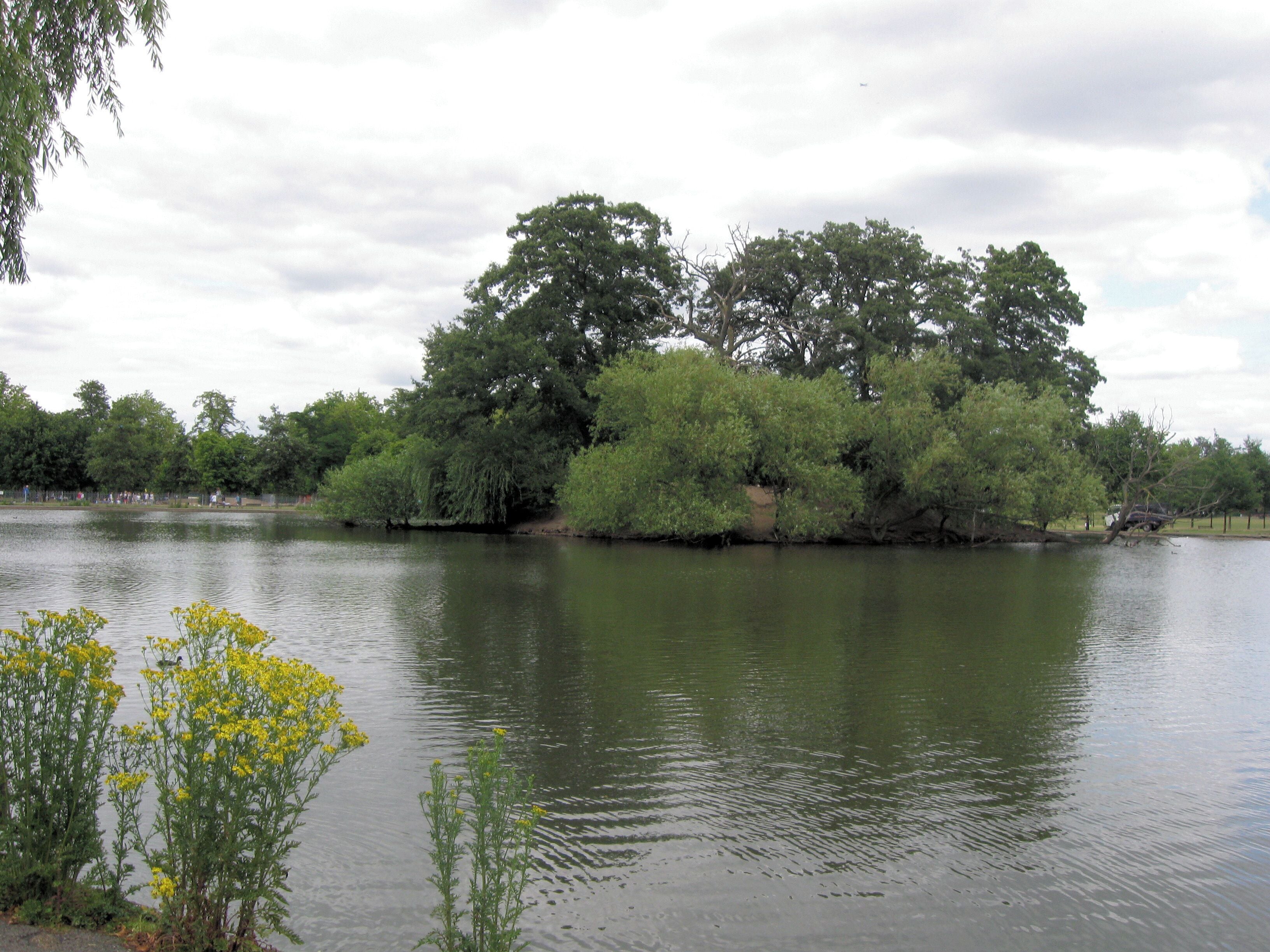 The island on Mount Pond, Clapham Common