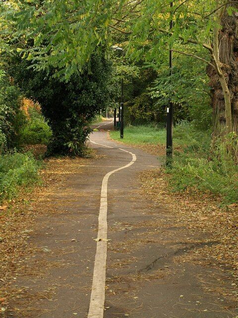Dual use path, Wandsworth Common This path runs along the edge of the common behind Routh Road, linking Lyford Road with Trinity Road.