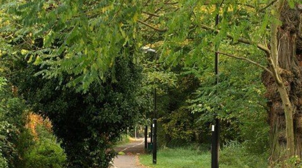 Dual use path, Wandsworth Common This path runs along the edge of the common behind Routh Road, linking Lyford Road with Trinity Road.
