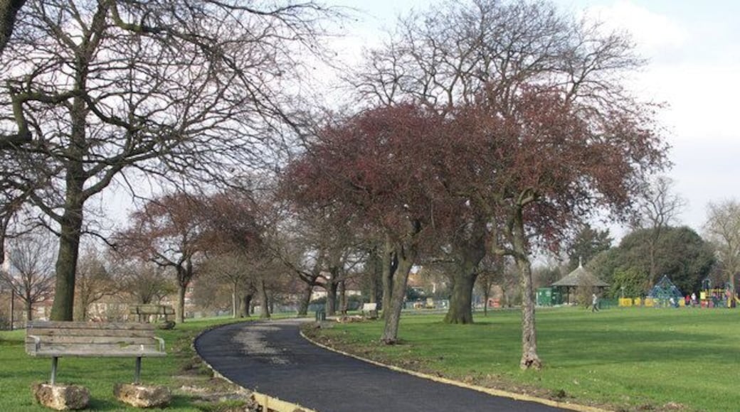 Mountsfield Park The park was opened in August 1905 following the acquisition of Mountsfield, the former house of Henry Stainton.