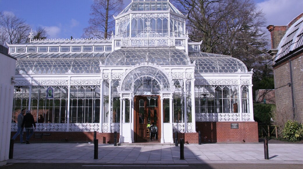 Conservatory, Horniman Museum. The beautiful restored Victorian conservatory at the rear of the Horniman Museum. It is used as an overflow for the museum cafe but can be hired for weddings and other functions.