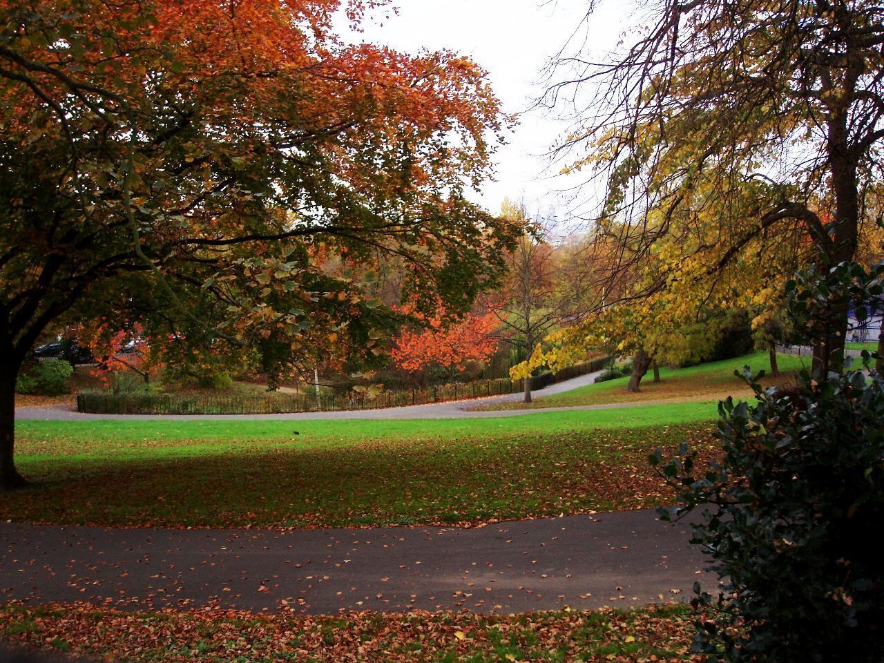 The lower part of this park, high above New Cross. Photo taken November 2007. Owner: London Borough of Lewisham.