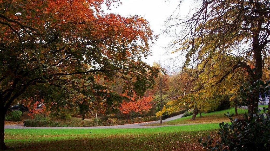 The lower part of this park, high above New Cross. Photo taken November 2007. Owner: London Borough of Lewisham.