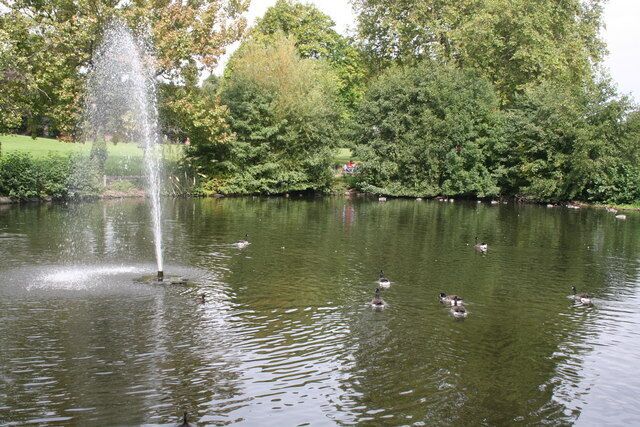 The Lake, Manor House Gardens, Lee Manor House Gardens is a welcome green space in this suburban area, and is enhanced by this small lake, on which tufted duck, coot, moorhen, and increasingly Canada Geese, find a home.