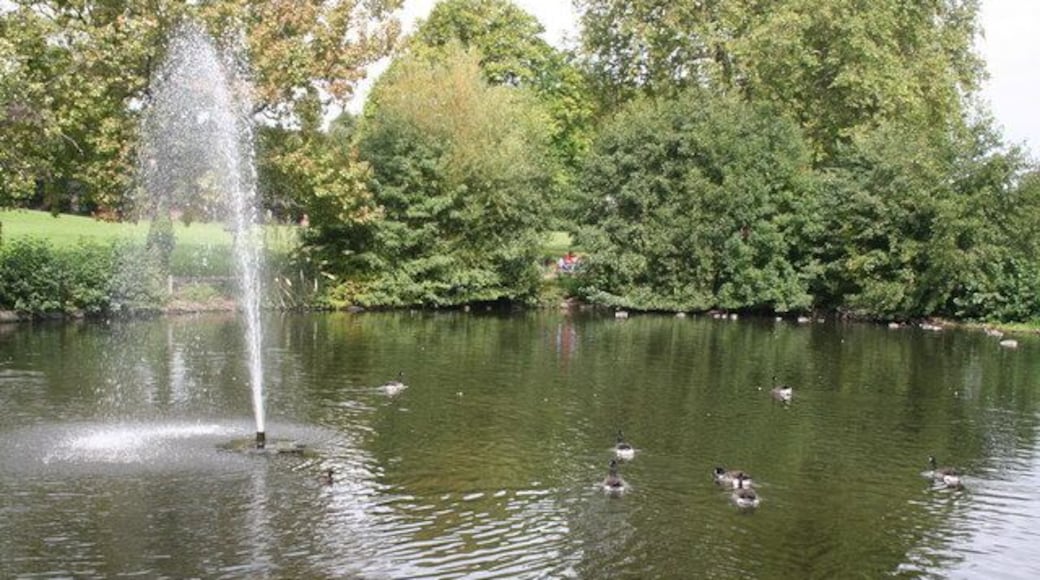 The Lake, Manor House Gardens, Lee Manor House Gardens is a welcome green space in this suburban area, and is enhanced by this small lake, on which tufted duck, coot, moorhen, and increasingly Canada Geese, find a home.