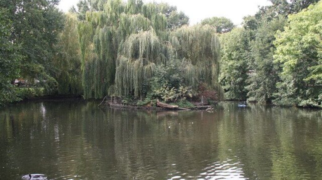 The Lake, Manor House Gardens, Lee At the western end of the lake is a small wooded island.