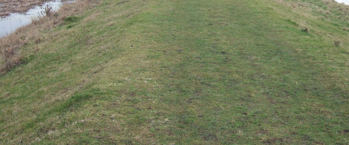 A grassy path with water on either side, leading to a field with trees in the distance.