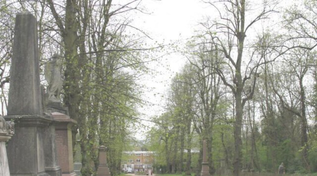 Nunhead cemetery, main drive. The approach to the chapel 779325 is lined with lime (linden) trees which gave Linden Grove (the road outside the main gates) its name.