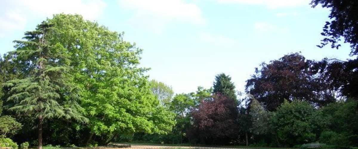 The Oval, Peckham Rye Park This is near the north west entrance to the park.