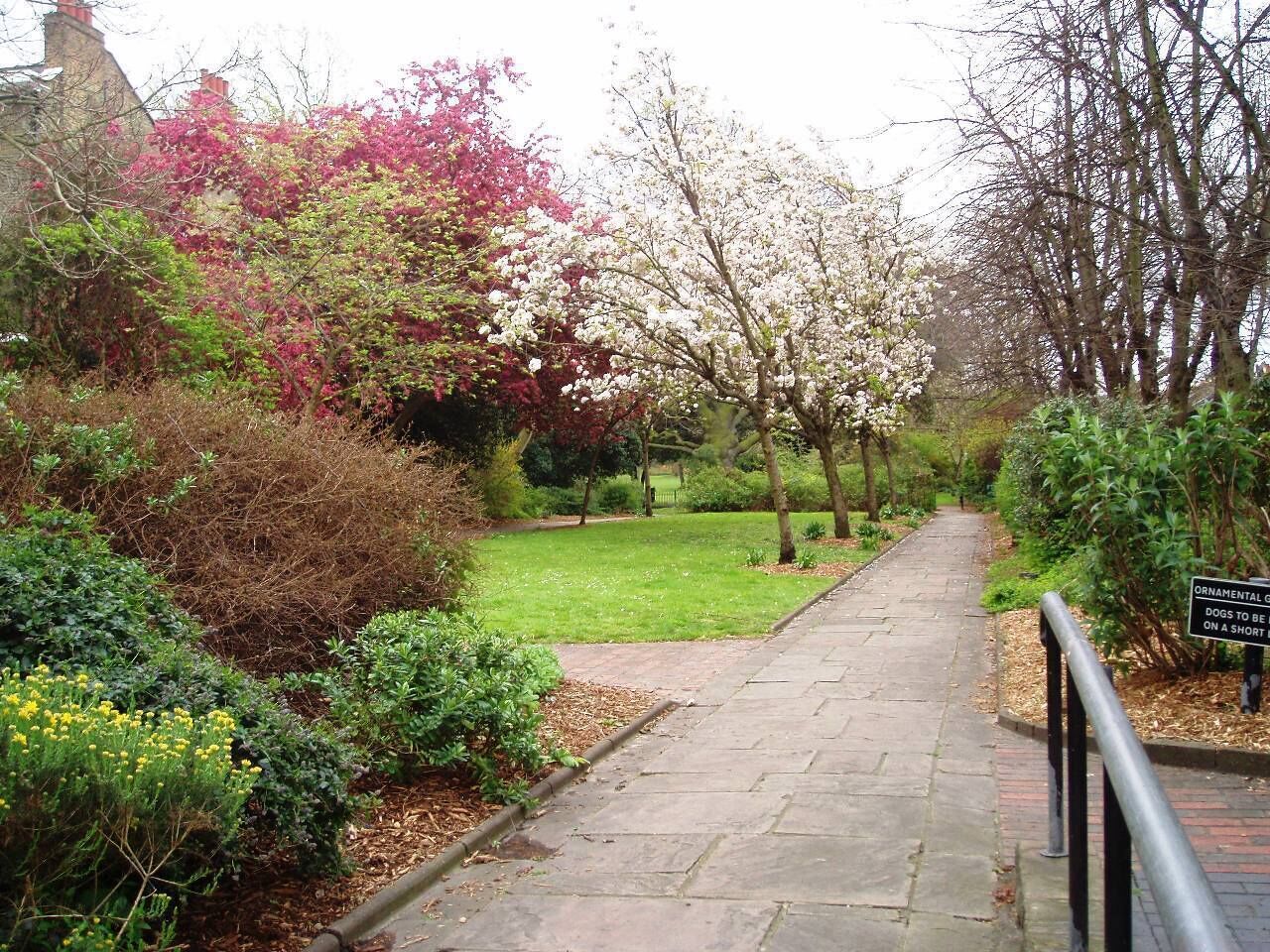 Opposite Southwark Town Hall in Camberwell's sunny SE5. Photo taken April 2008. Owner: London Borough of Southwark.