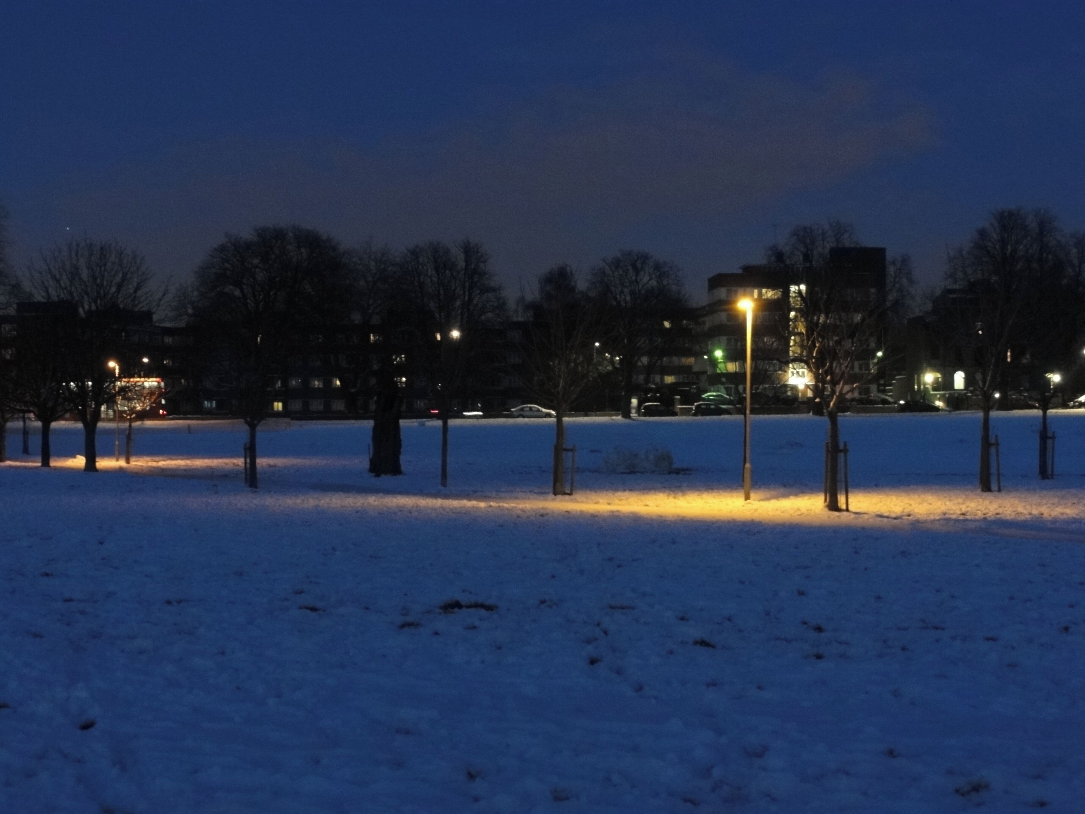 Peckham Rye Park at night after snowfall.