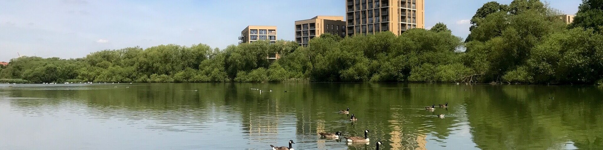 Welsh Harp. 
The Brent is damned just before Blackbird Hill and the resulting reservoir is said to resemble a Welsh Harp in shape. The buildings in the background are part of the controversial 'Hendon Waterside' development. 
Nearest station: Hendon.
