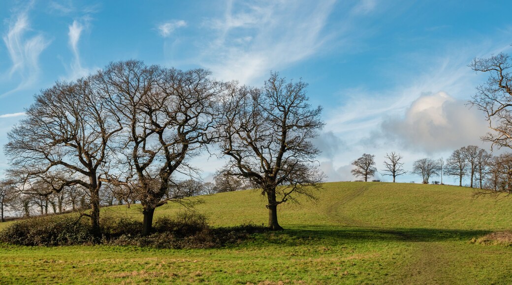 Panoramic landscape of Harrow Weald hills and fields in sunny winter day, England