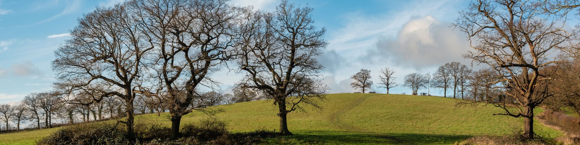 Panoramic landscape of Harrow Weald hills and fields in sunny winter day, England