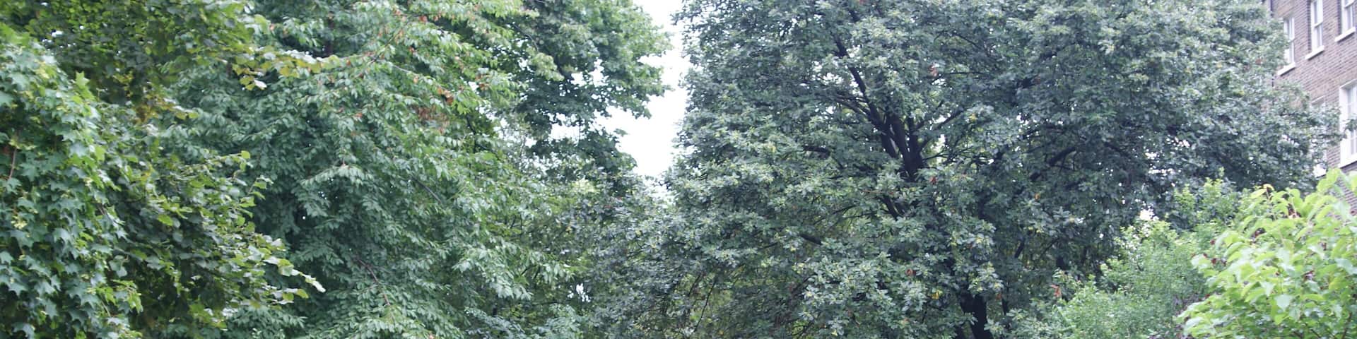 Compton Terrace Gardens, London N1.